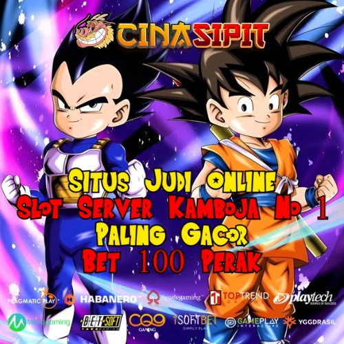 CINASIPIT